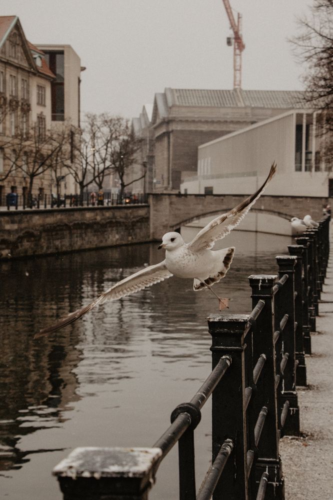 Photograph by Анна Рожкова