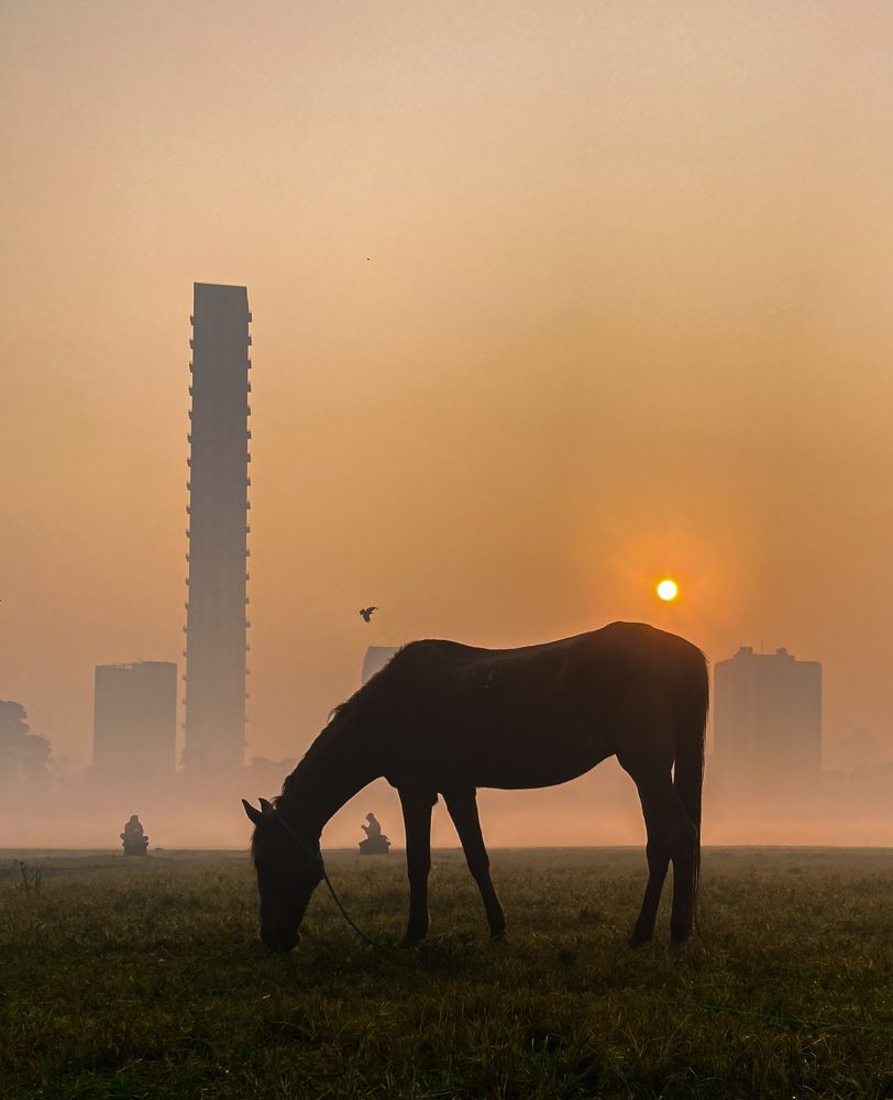 The horse, The men, The bird