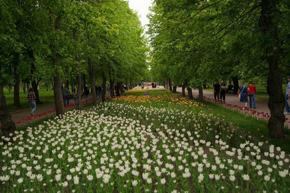 Photograph by Ольга Новикова