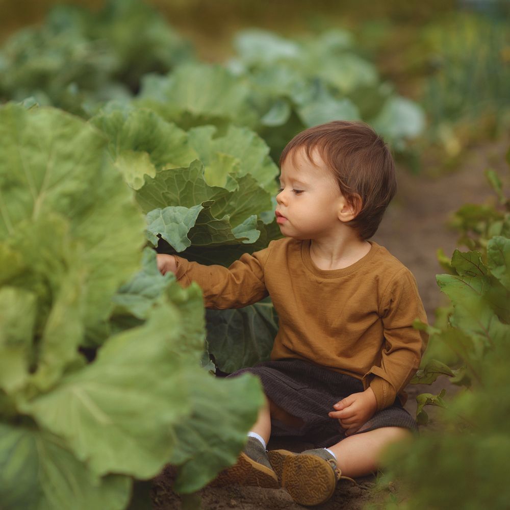 Photograph by Альбина Вакунова