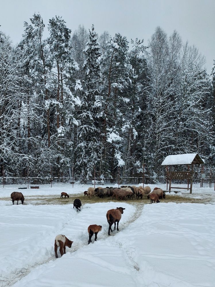 Photograph by Александра Кропивка