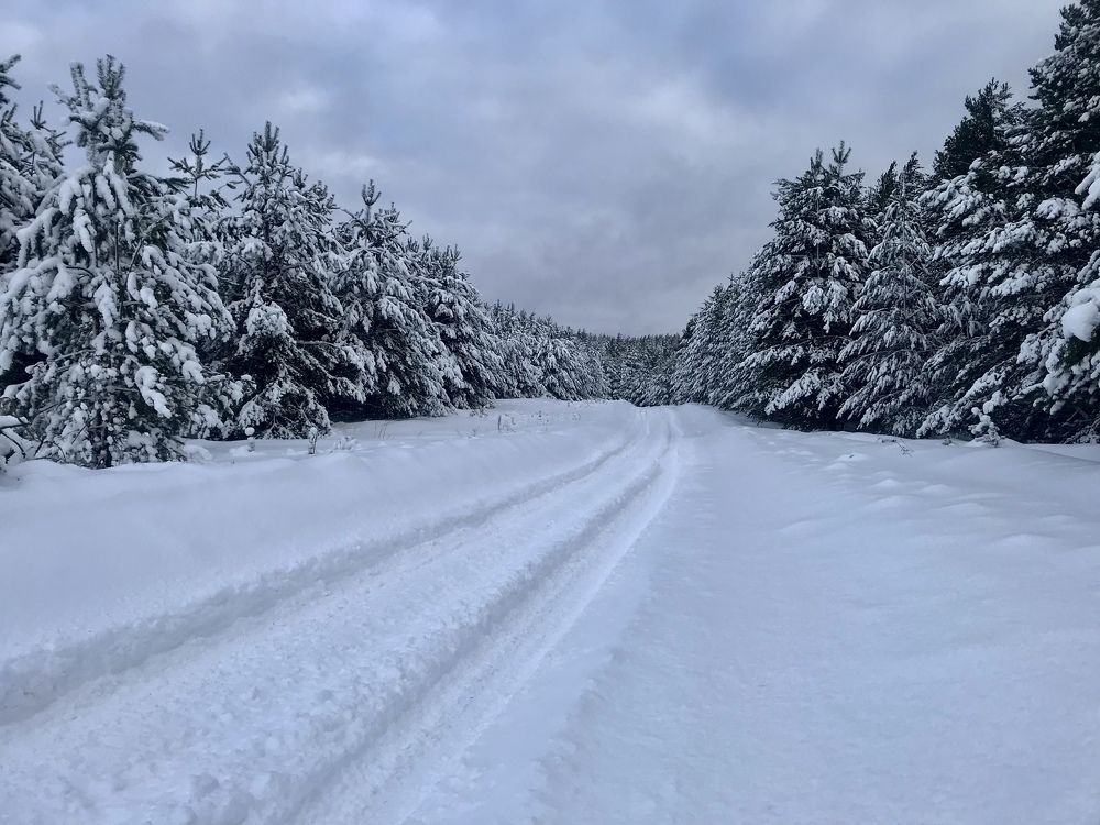 Photograph by Шестакова Наталья