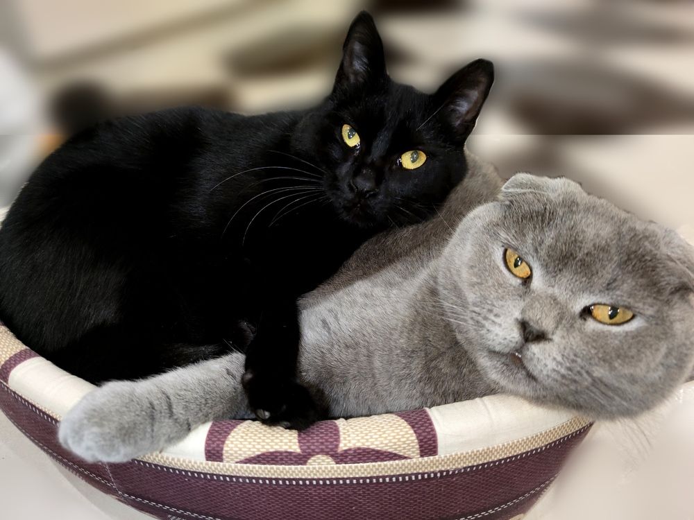 Photograph by Инна Макарчук