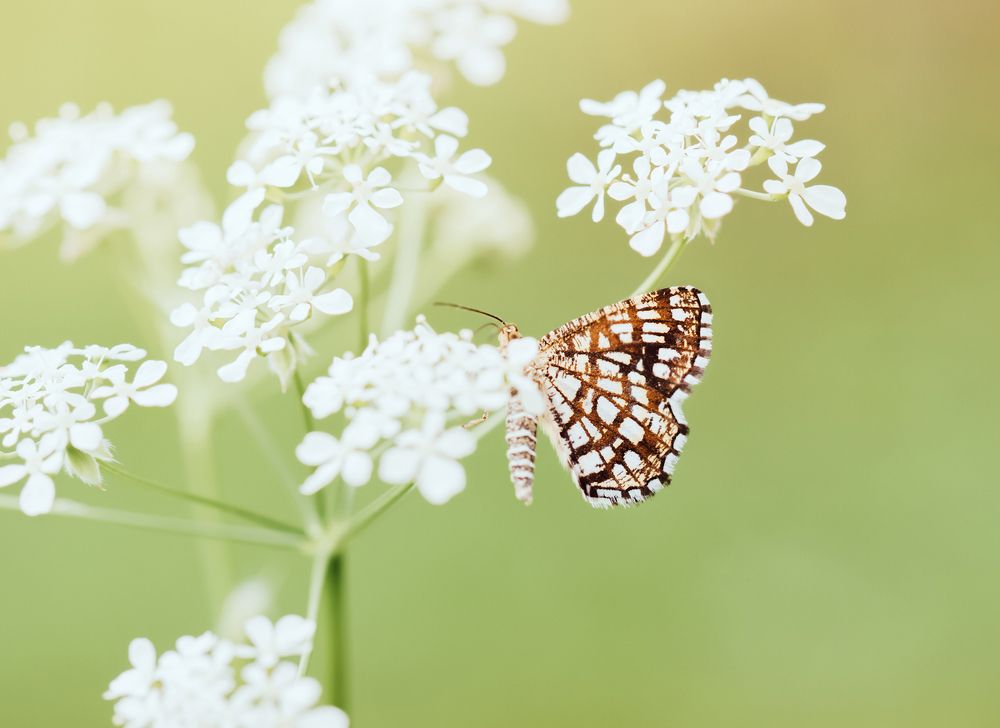 Photograph by Марина Багрова
