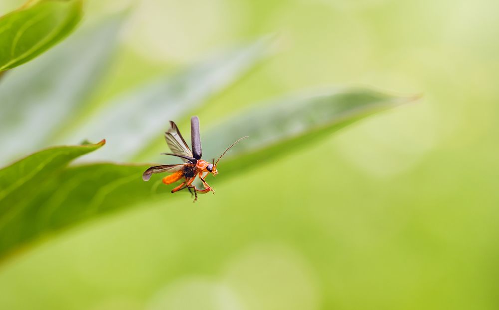 Photograph by Марина Багрова