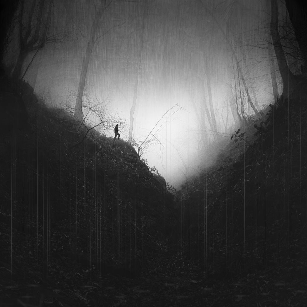 Photograph by Mohammad Dadsetan