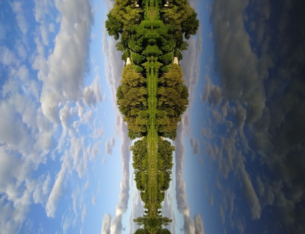 Photograph by Mila Vshivkova