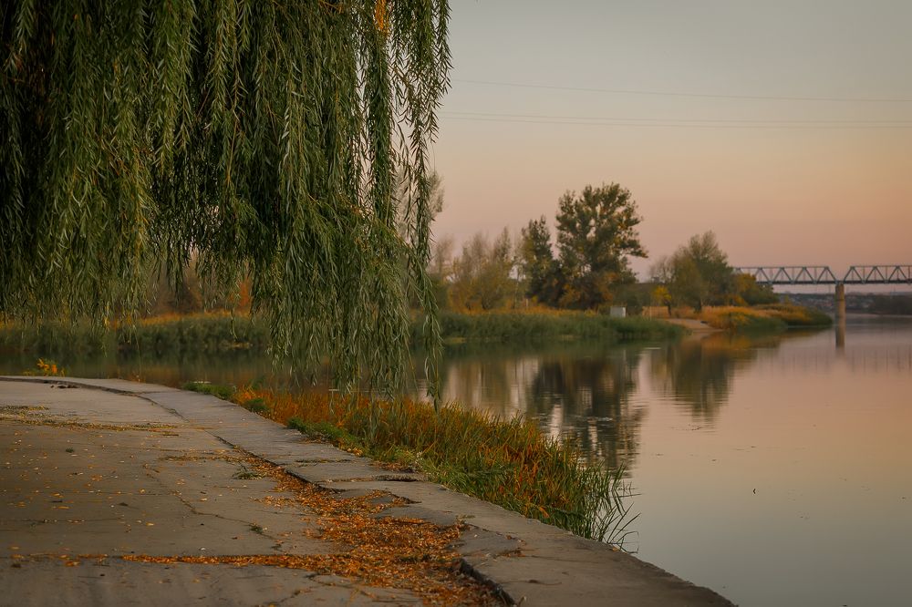 Photograph by Елена Власова