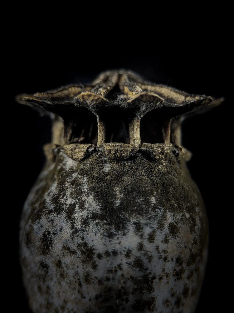 Photograph by Татьяна Логвинчук