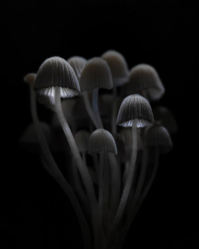 Photograph by Татьяна Логвинчук