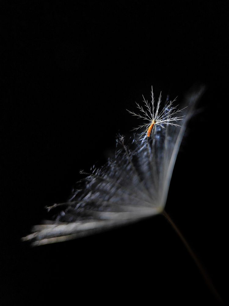 Photograph by Татьяна Логвинчук