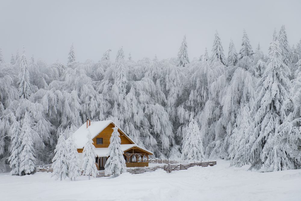 Photograph by Ovidiu GABOR