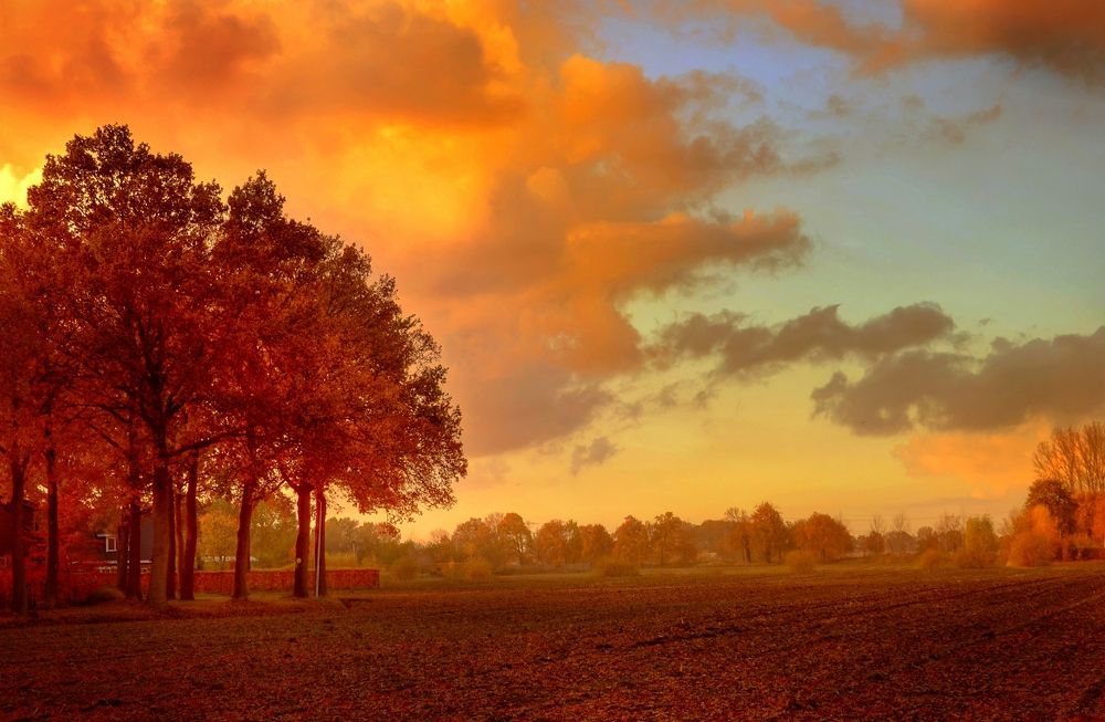 Photograph by Вероника Андре