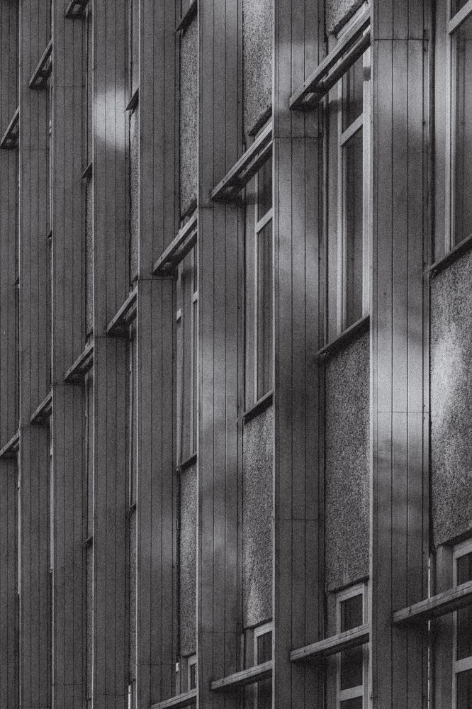 Фотография автора Андрей Николаенко