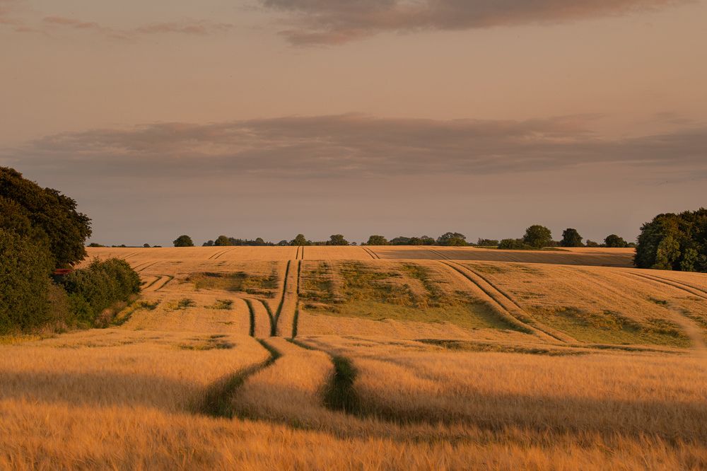 Photograph by Sergejs Demjanenko