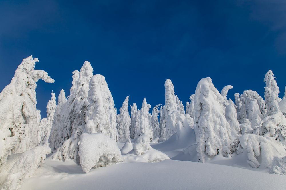 Photograph by Ovidiu GABOR