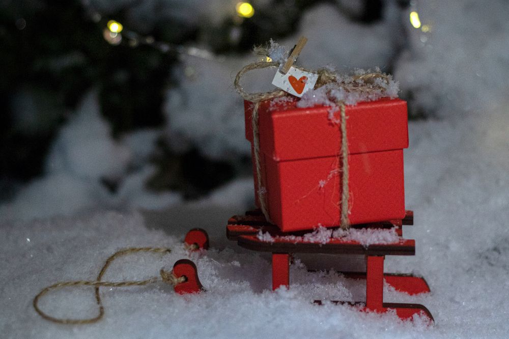 Photograph by Анастасия