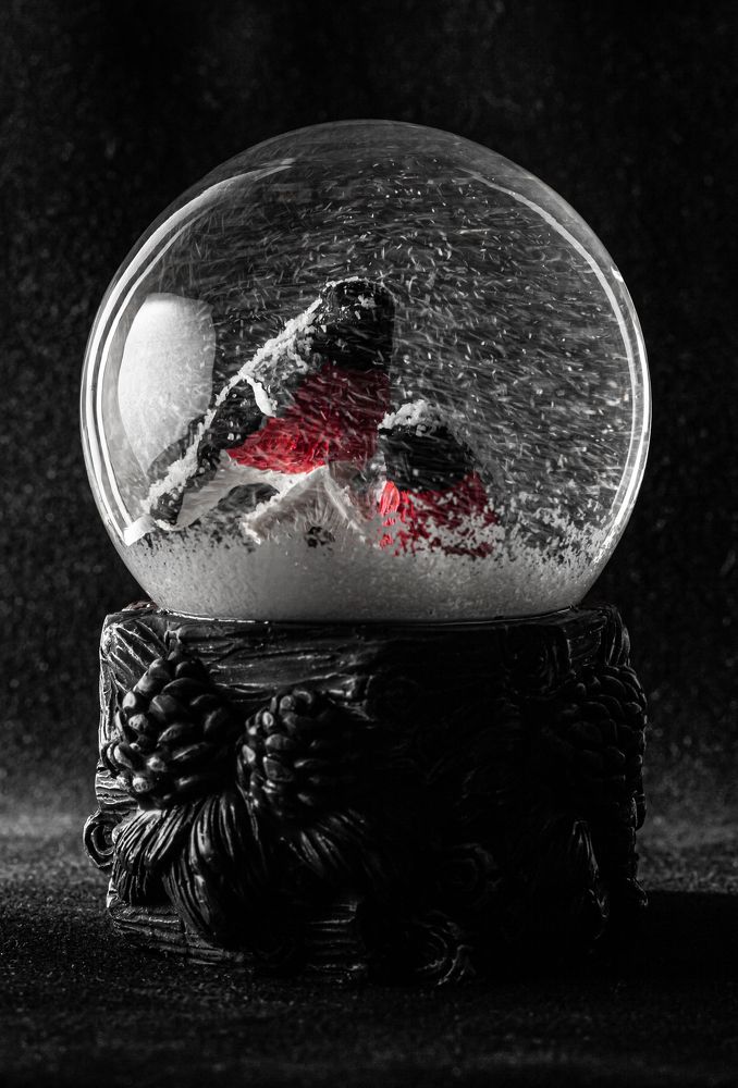 Photograph by Дмитрий Лекомцев