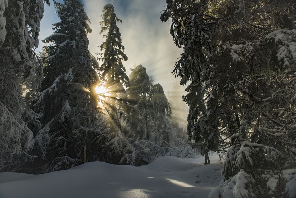 Photograph by Ovidiu GABOR