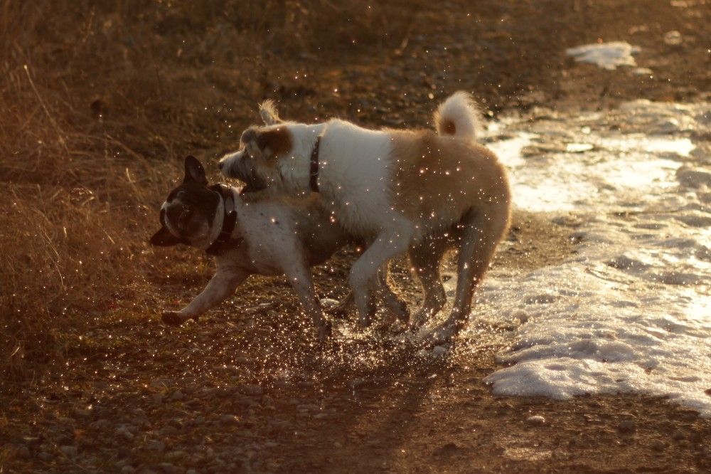 Фотография автора Элеонора Григорьева