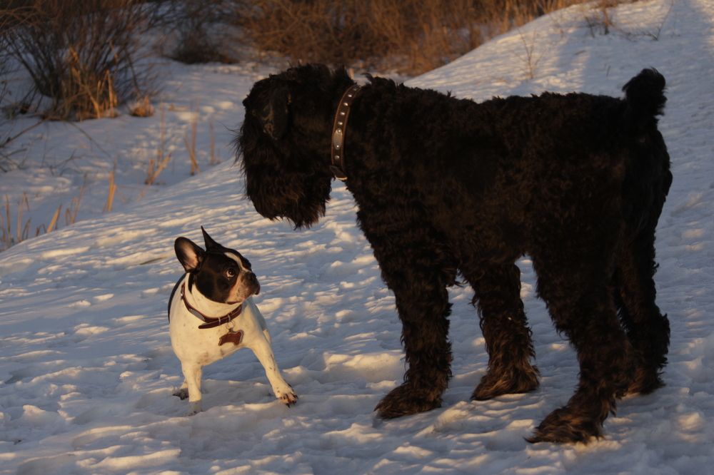 Фотография автора Элеонора Григорьева
