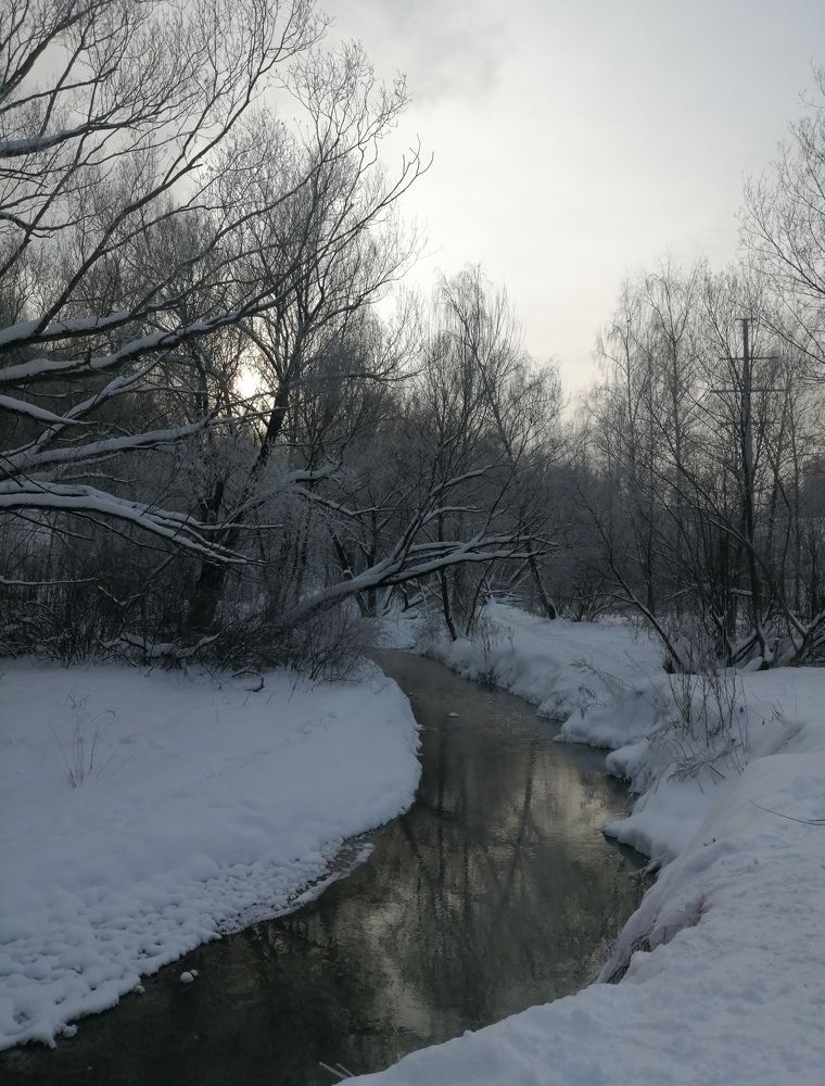 Photo #7054250