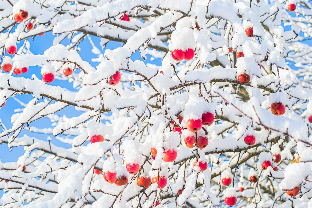 Photograph by Yulia Nikolaeva