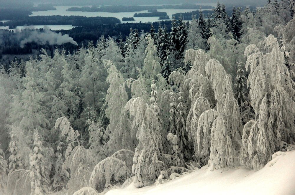 Photograph by Лада Денисова