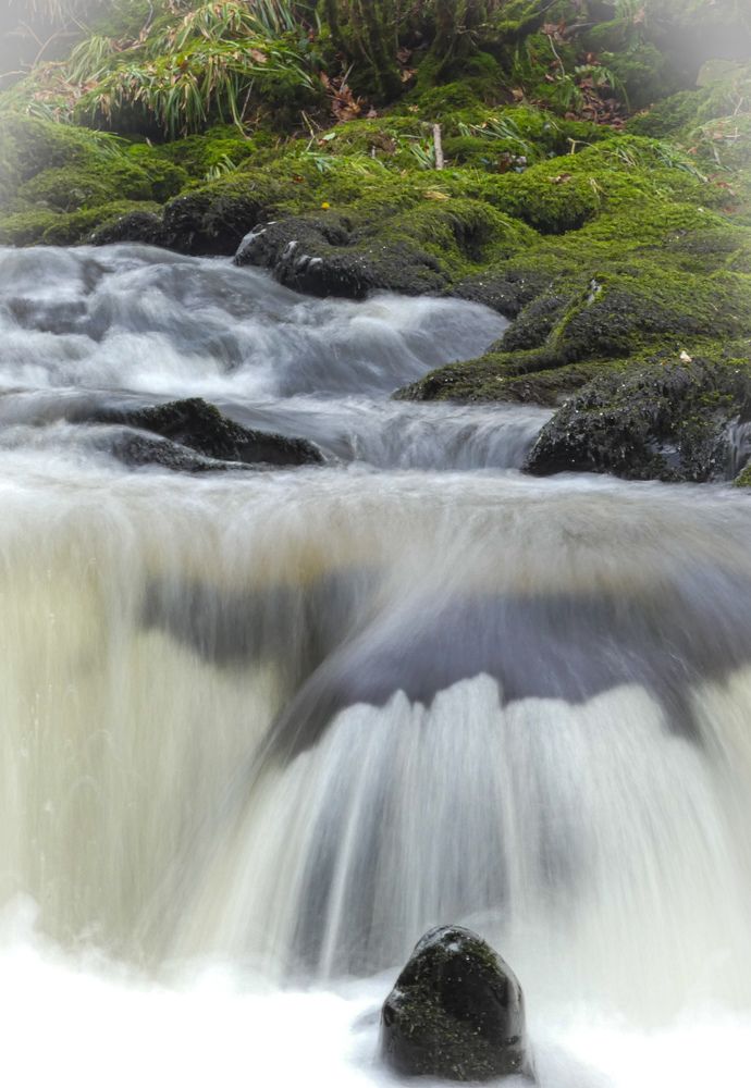 Фотография автора Michael Gault