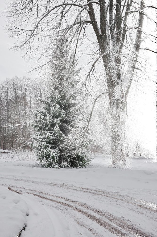 Photograph by Евгений Жиляев