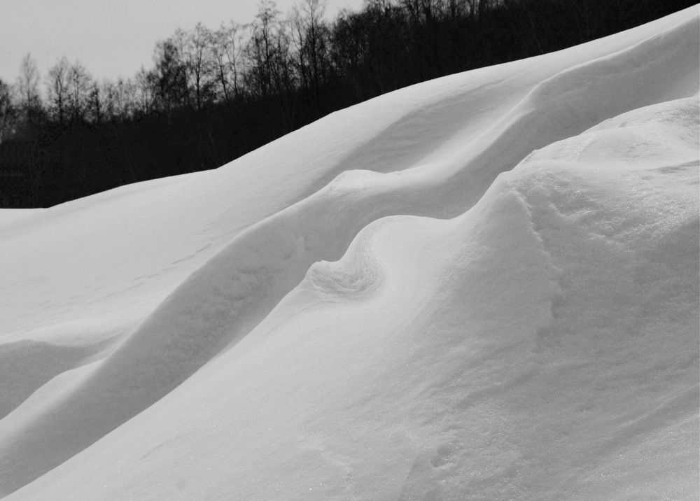 Photograph by Евгений Жиляев