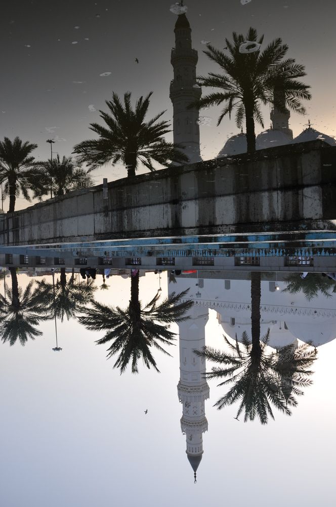 Фотография автора yomn