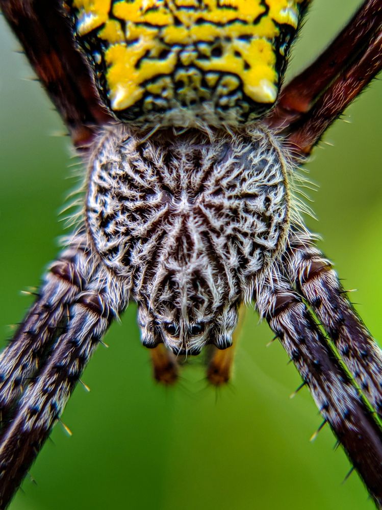 Photograph by Jhundel Asunan