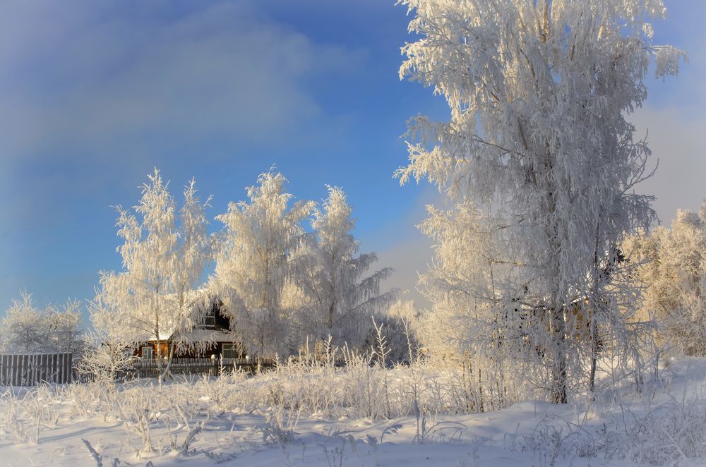 Мороз - художник.
