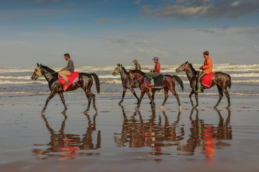 Фотография автора yomn