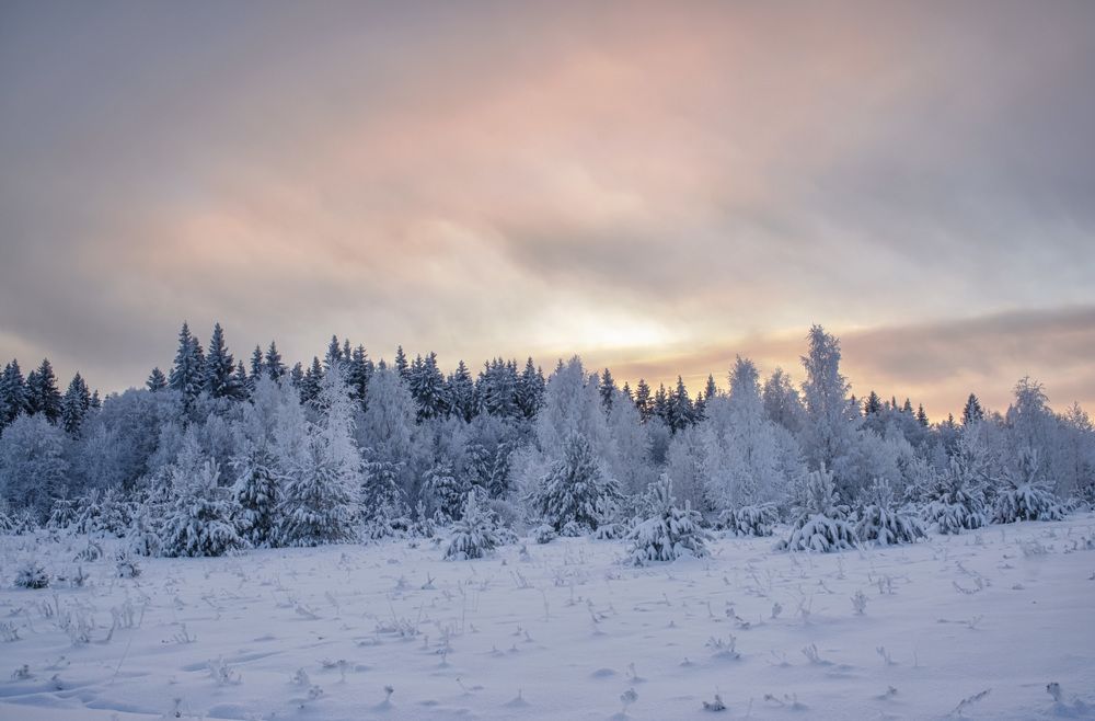 Зимний вечер.