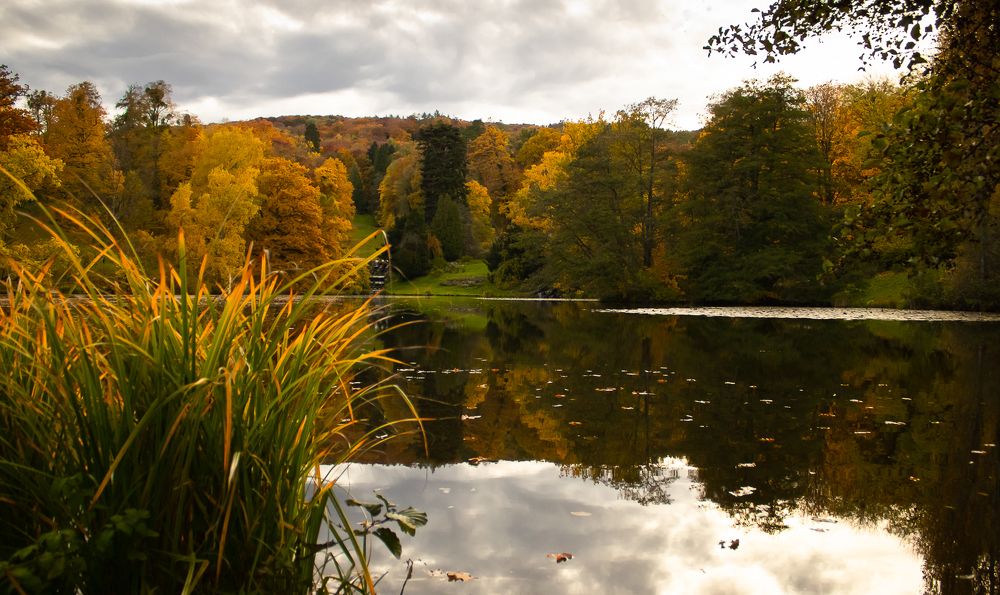 Photograph by Mariia Muratova