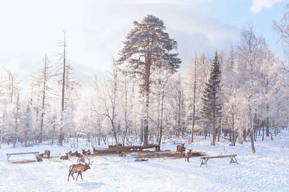 Photograph by Белкина Екатерина