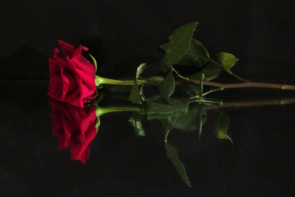 Photograph by 