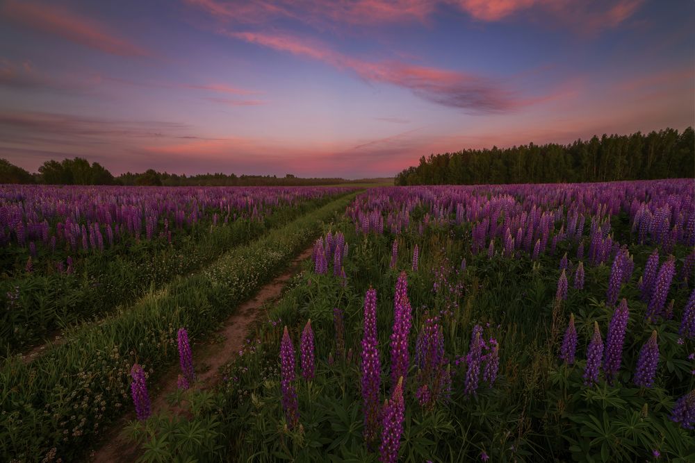 Photograph by Марина Мурашова