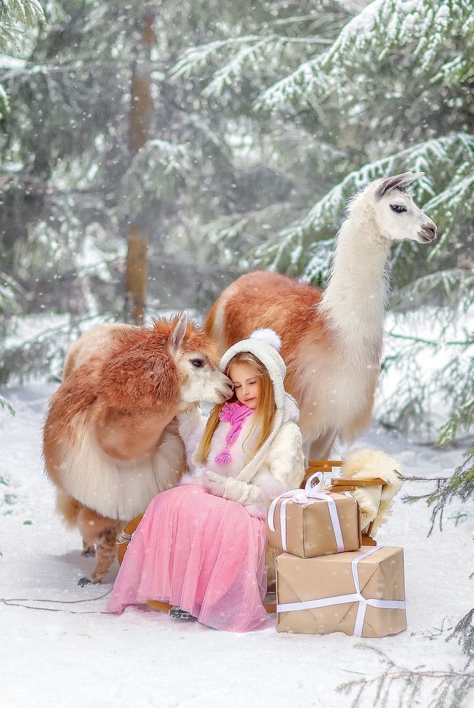 Photograph by Елена Сопот