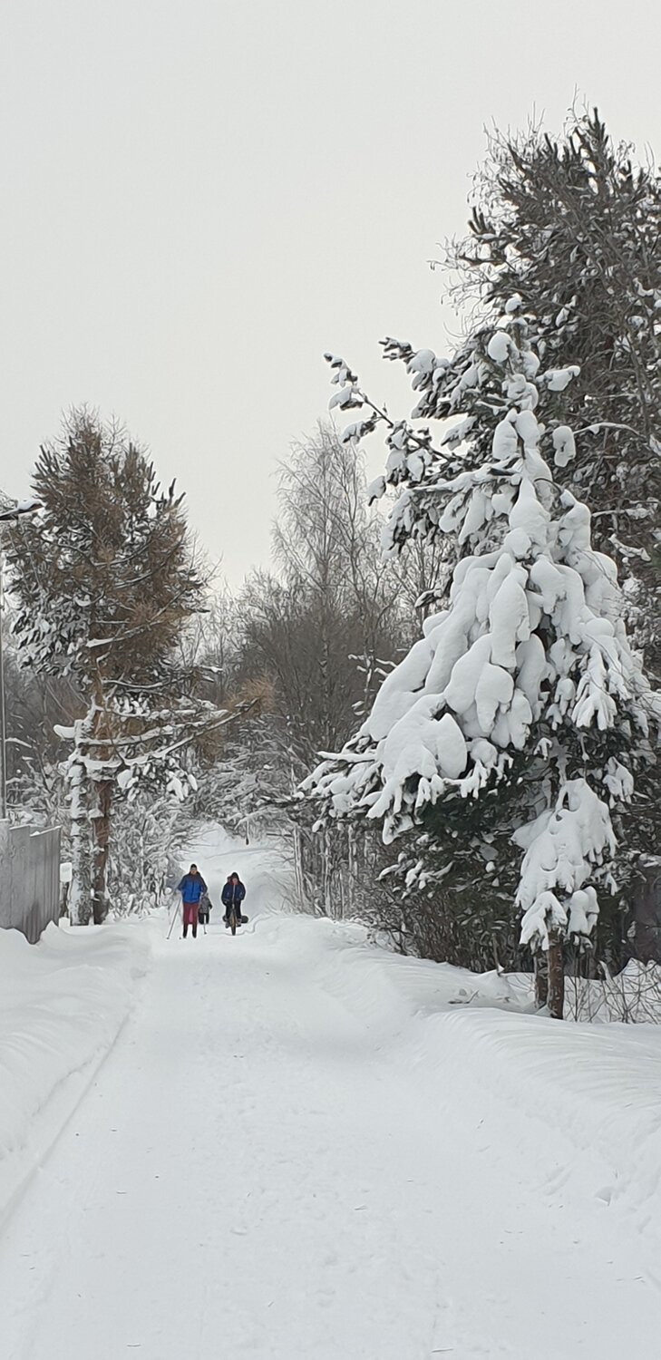 Photo #7054720