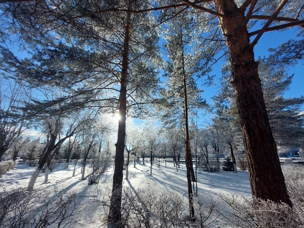 Photograph by Анастасия Койчина