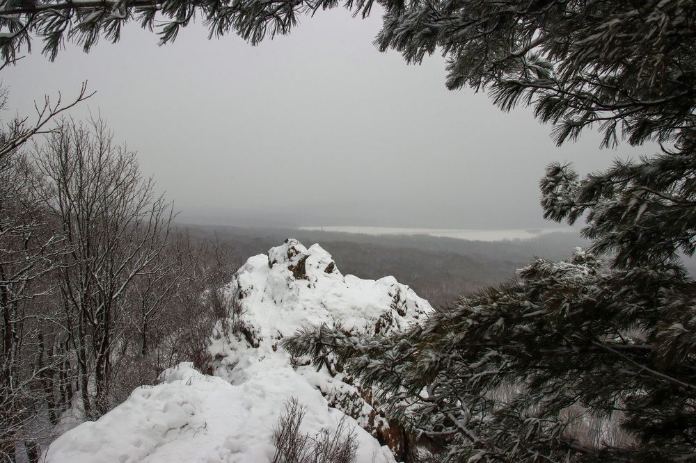 Photograph by Николай Шепелев