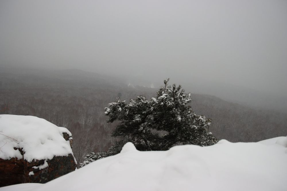 Photograph by Николай Шепелев