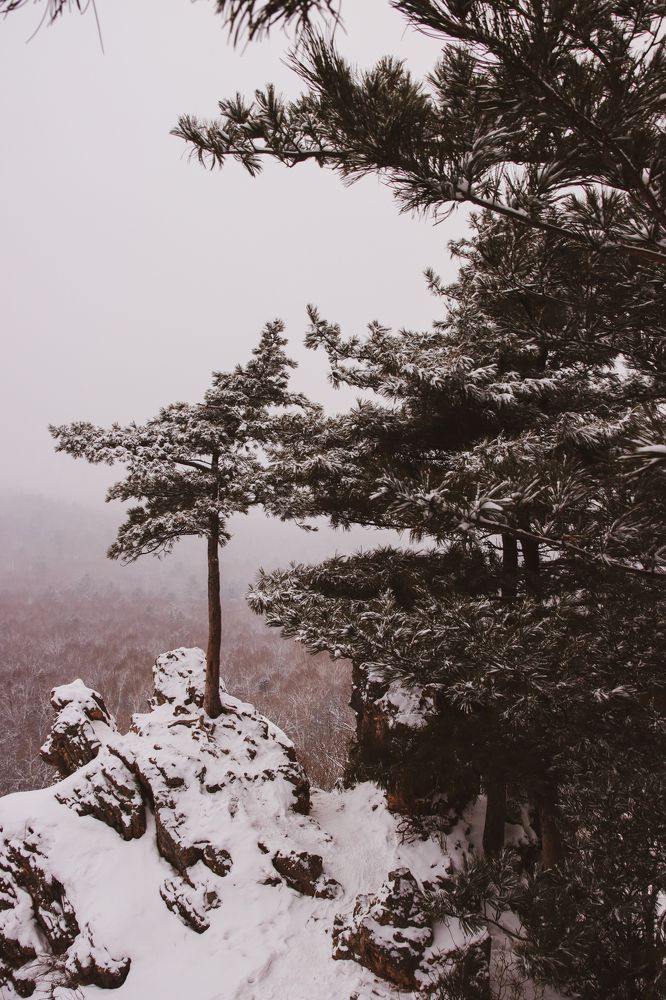 Photograph by Николай Шепелев