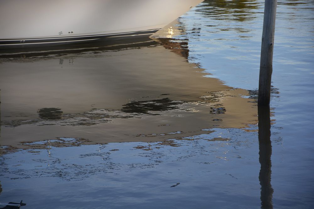 Фотография автора Daniel A. Pérez