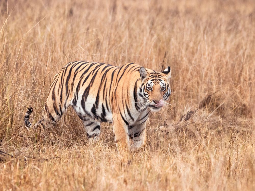 Photograph by Santhosh GVN