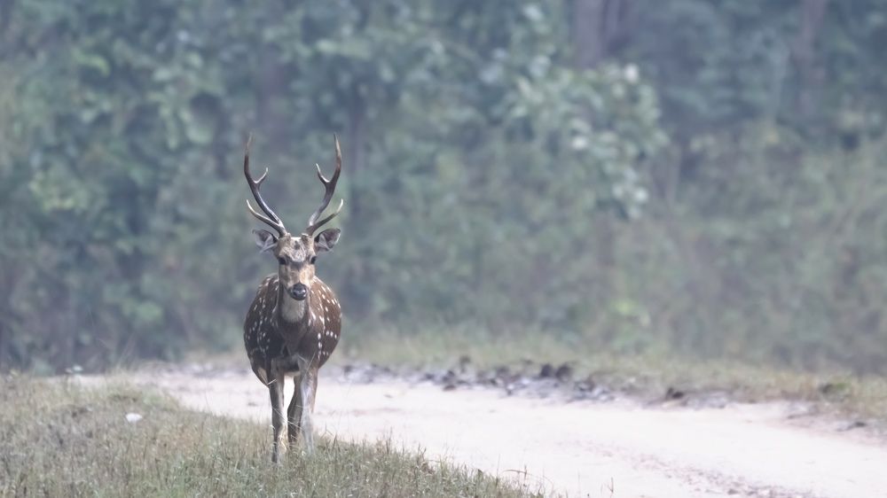 Photograph by Santhosh GVN