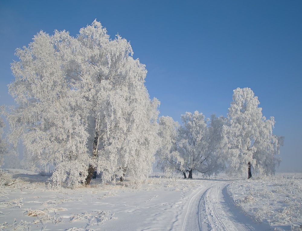 Photograph by Анатолий Васильев